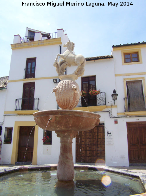 Fuente del Potro - Fuente del Potro. 