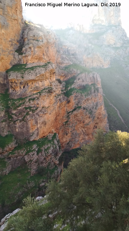 Los Ca�ones - Los Ca�ones. 