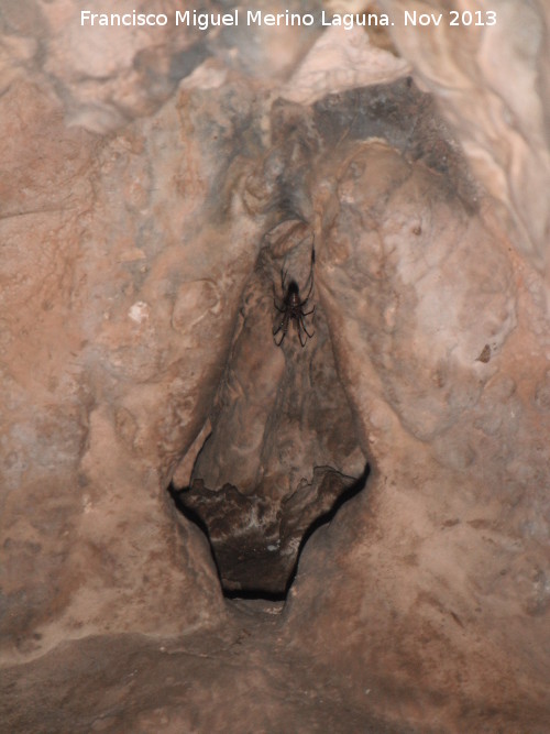 Santuario prehistrico de la Cueva de Golliat - Santuario prehistrico de la Cueva de Golliat. Hornacina en flecha