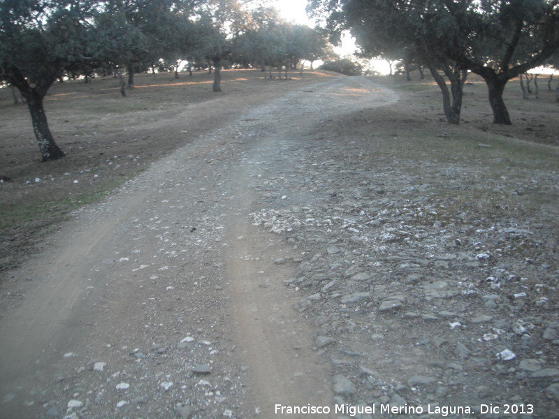 Camino Real Viejo - Camino Real Viejo. 