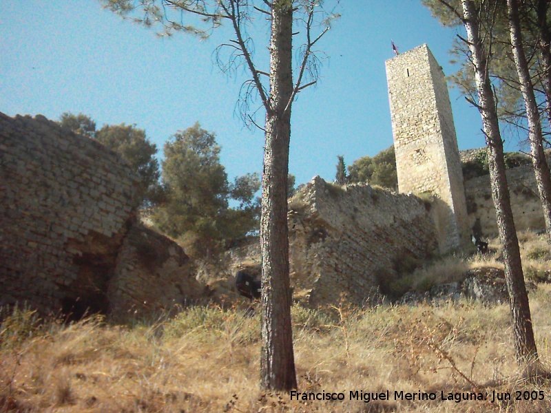 Muralla de Jan. Postigo del Carril - Muralla de Jan. Postigo del Carril. 