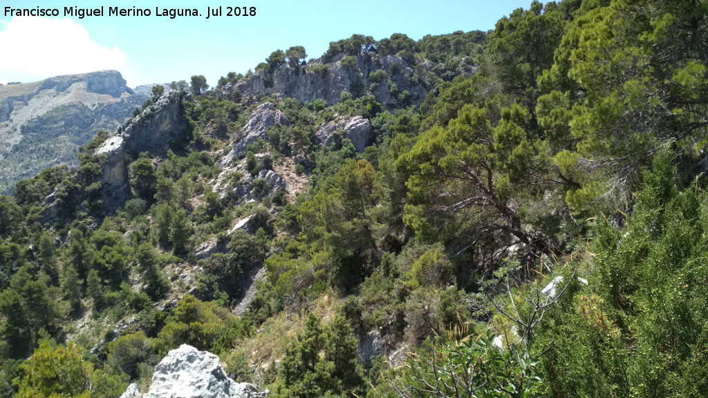 Barranco de los Corzos - Barranco de los Corzos. 