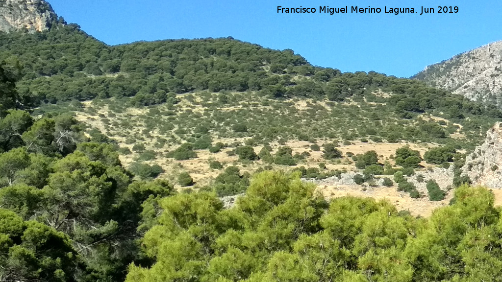 Matagallar - Matagallar. Desde la Carretera a la Caaza de las Hazadillas