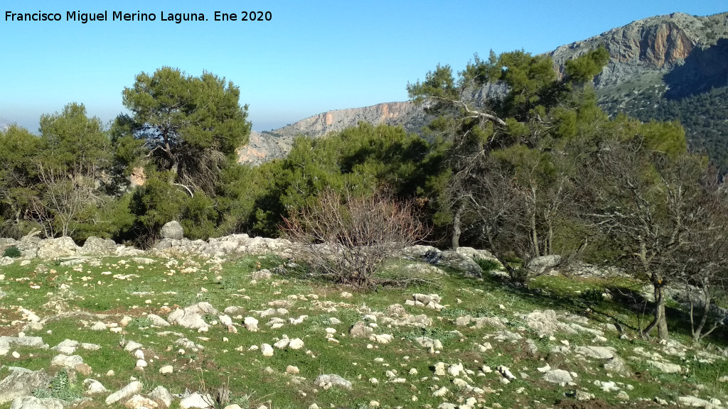 Cerro Pinillo - Cerro Pinillo. Cumbre con el Castillo de Oti�ar al fondo