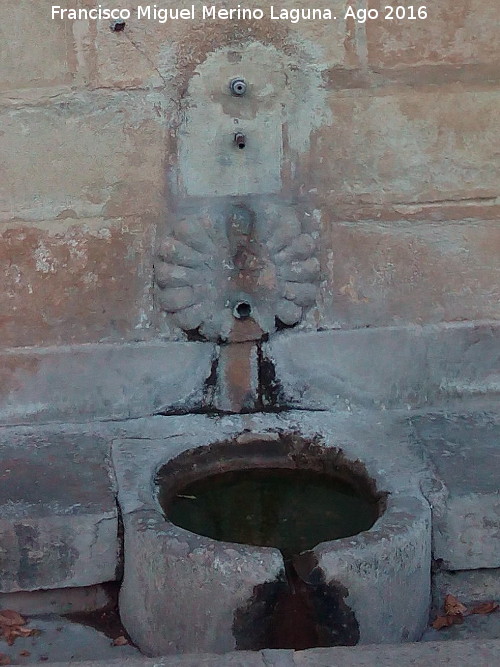 Fuente de la Yedra - Fuente de la Yedra. Cao