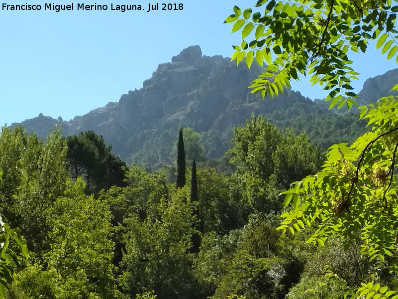 Cerro de la Laguna - Cerro de la Laguna. Desde el Ro Cerezuelo