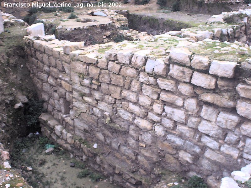 Muralla de Jan. Puerta del Aceituno - Muralla de Jan. Puerta del Aceituno. Lienzo de muralla