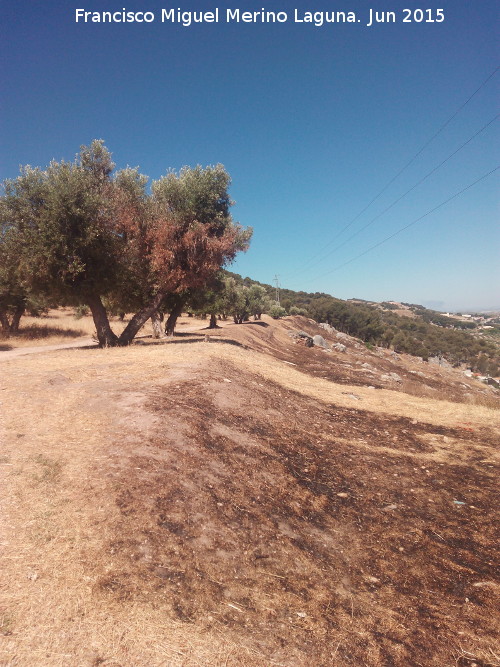 Oppidum del Cerro de Santa Catalina - Oppidum del Cerro de Santa Catalina. Lnea de muralla