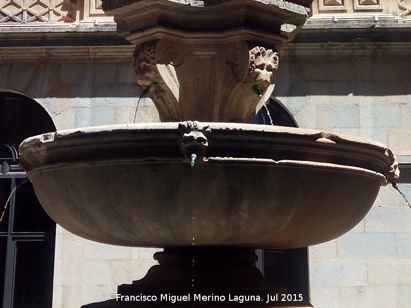 Fuente de Diputacin - Fuente de Diputacin. Caos