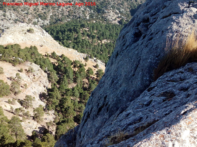 Blanquillo - Blanquillo. Altura