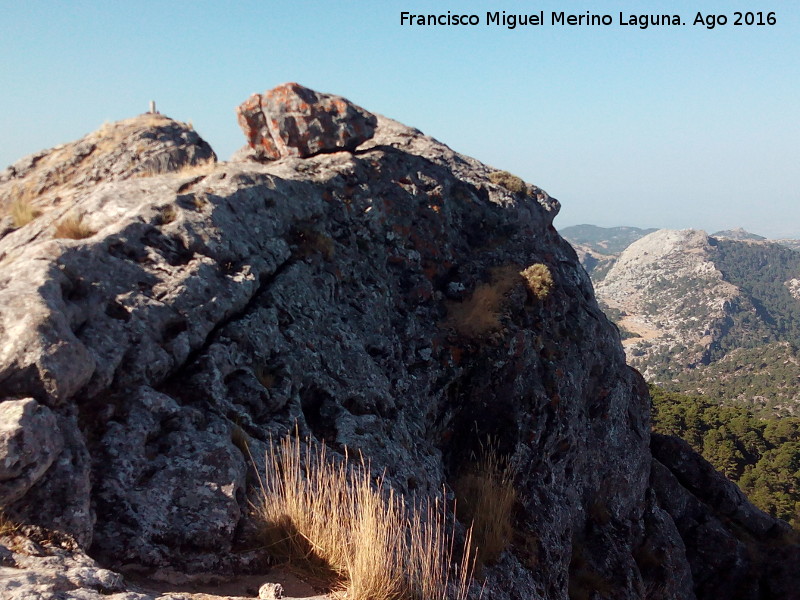 Blanquillo - Blanquillo. Cumbre