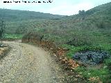 Calzada de la Sierra. Muros de piedra haciendo bancales para las antiguas huertas