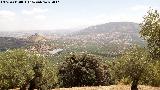 Peas de Castro. Vistas desde su ladera Este