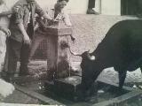 Fuente de la Calle Risquillo. Foto antigua