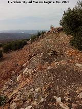 Torreparedones. Muralla. Muralla sin excavar