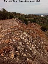 Torreparedones. Muralla. Muralla sin excavar