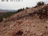 Torreparedones. Muralla. Continuacin de la muralla desde la Puerta Oriental