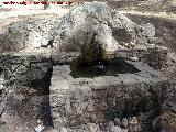 Fuente de la Alberca de las Hazadillas. Fuente