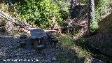 Fuente del Puente de las Hazadillas. Se encuentra bajo el rbol cado