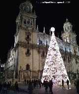 Plaza de Santa Mara. Iluminacin navidea