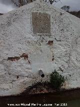 Pilar de la Mua. Ao y cao