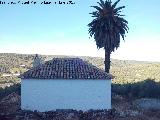 Cortijo Azproz. Cortijo con su palmera