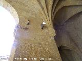 Colegiata de Santa Mara de los Reales Alczares. Claustro. 