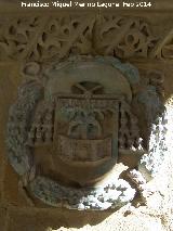 Colegiata de Santa Mara de los Reales Alczares. Claustro. Escudo policromado del Obispo Alonso Suarez de la Fuente del Sauce