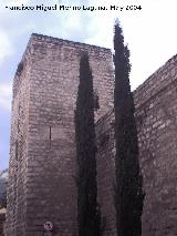 Muralla de Jan. Torren del Conde de Torralba. Extramuros