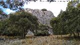 Cresta del Diablo. Paredes rocosas del oeste ya en trmino de Torredelcampo