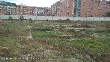 Marroques Bajos. Yacimiento de la Ciudad de la Justicia. 