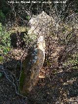 Necrpolis dolmnica del Guadaln. Dolmen?