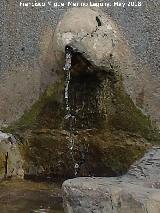 Fuente de la Plaza de San Rafael. Cao