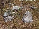 Oppidum de Giribaile. Necrpolis del Castillo. Restos de una tumba