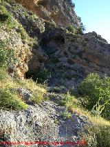 Pinturas rupestres de la Cueva Escondida de los Caones. 