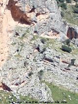Pinturas rupestres de la Cueva Escondida de los Caones. Bajo el Abrigo de la Base