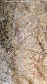 Pinturas rupestres del Abrigo de los Ca�ones IV. Pintura rupestre