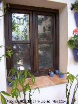 Casa de la Calle Don Rodrigo n 7. Ventana con macetas minsculas