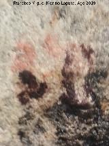 Pinturas rupestres de la Cueva de Ro Fro. 