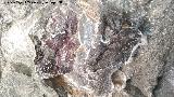 Pinturas rupestres de la Cueva de Ro Fro. Antropomorfo y puntos