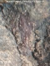 Pinturas rupestres de la Cueva de Ro Fro. 