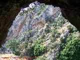 Pinturas rupestres de la Cueva de Ro Fro. Vista desde la cueva