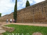 Muralla del Marrubial. Intramuros