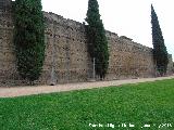 Muralla del Marrubial. Intramuros