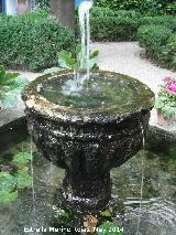 Palacio de Viana. Patio de los Naranjos. Fuente