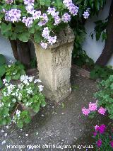 Palacio de Viana. Patio de las Rejas. Pedestal