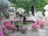 Palacio de Viana. Patio de las Rejas. Fuente