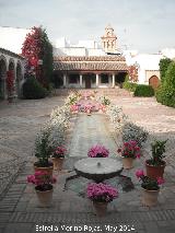 Palacio de Viana. Patio de las Columnas. 