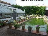 Palacio de Viana. Patio de la Alberca. 