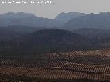 Cabeza Baja. Desde el Cerro Caniles